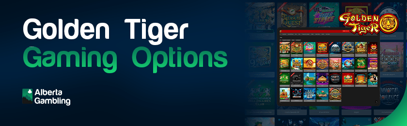 Different types of games in one collection for Golden Tiger gaming options